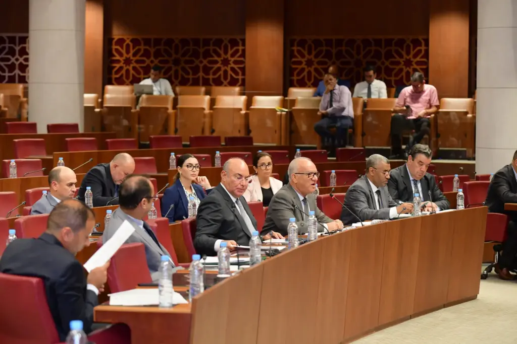 “ربّ ضارة نافعة”.. البرلمان يدعو لتحويل مِحنة الزلزال لفرصة لإنصاف المناطق الجبلية