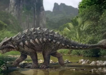 اكتشاف نوعين جديدين من الديناصورات بالمغرب وعالم الحفريات يوضح