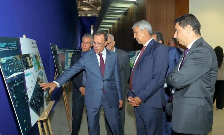 صديقي: معرض الفرس للجديدة فرصة لإبراز دور الخيل كمساهم بالتنمية