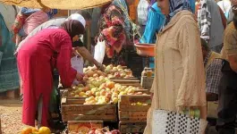 الحسيمة: تراجع الرقم الاستدلالي للأثمان عند الاستهلاك بنسبة 1,3%