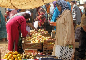 الحسيمة: تراجع الرقم الاستدلالي للأثمان عند الاستهلاك بنسبة 1,3%
