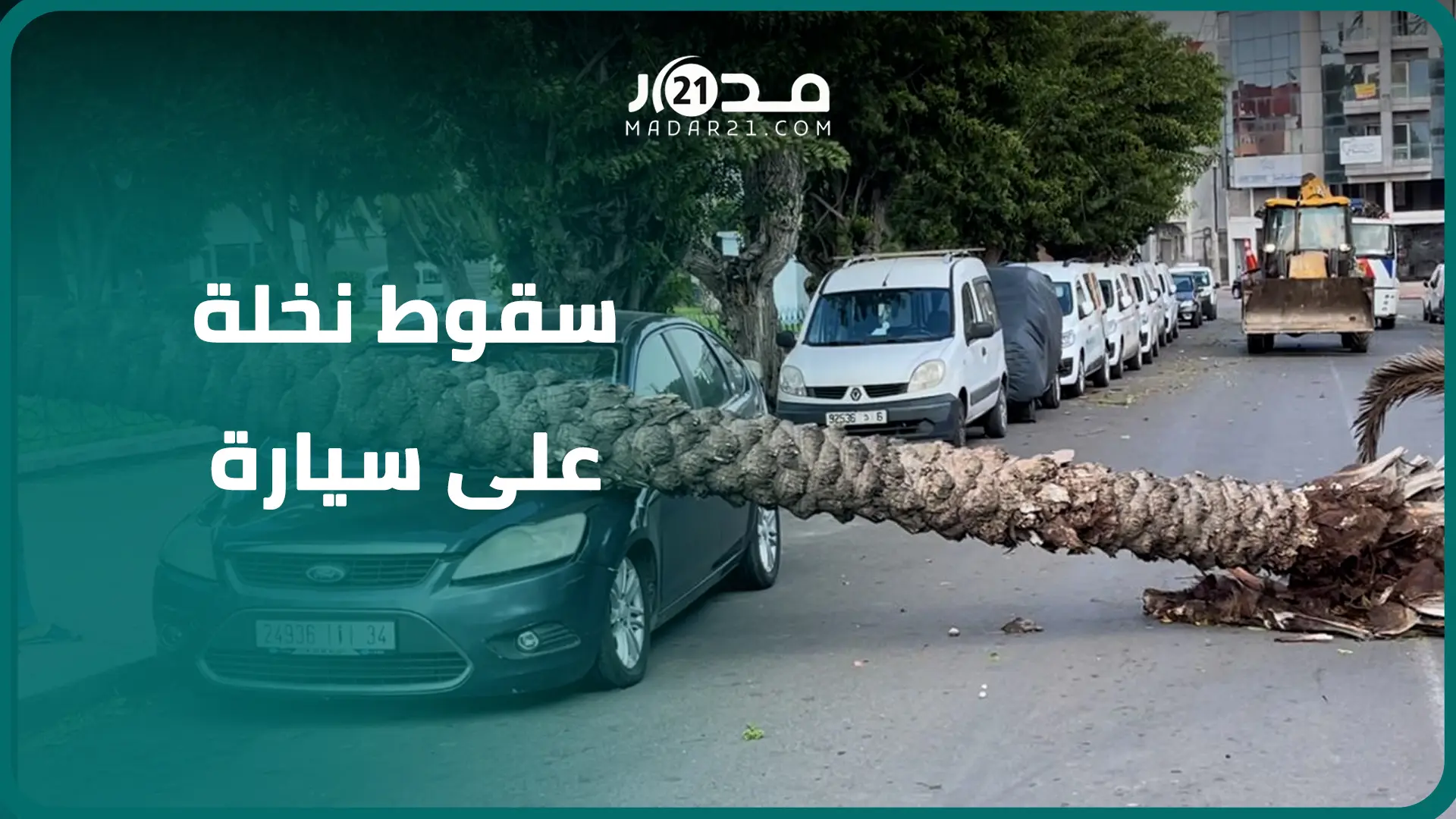 سقوط مفاجئ لنخلة بالشارع العام يربك حركة السير ويلحق أضرارا بسيارات مواطنين بالجديدة