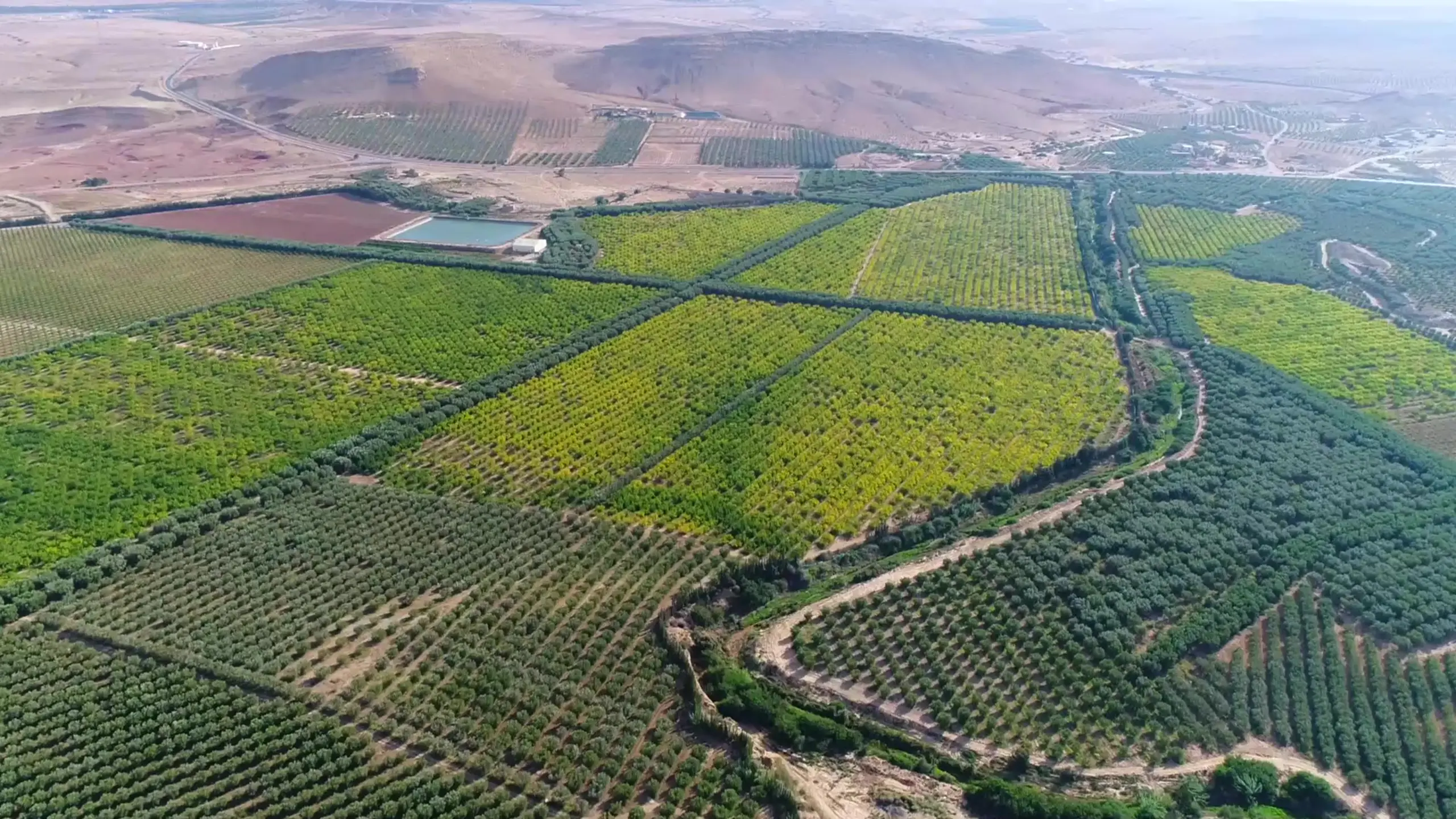 فاعلون يسلطون الضوء على التطورات المرتبطة بالأراضي السلالية بفاس