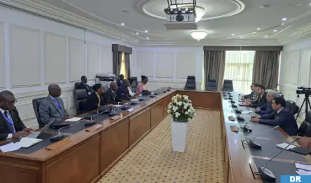 وفد برلماني مغربي يلتقي رئيس الجمعية الوطنية الانتقالية للغابون