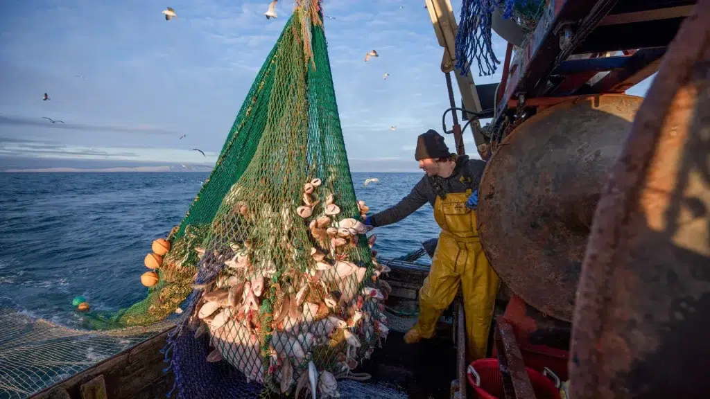 تجديد بروتوكول الصيد البحري.. اجتماع بين المهنيين المغاربة والأوروبيين قبل نهاية العام
