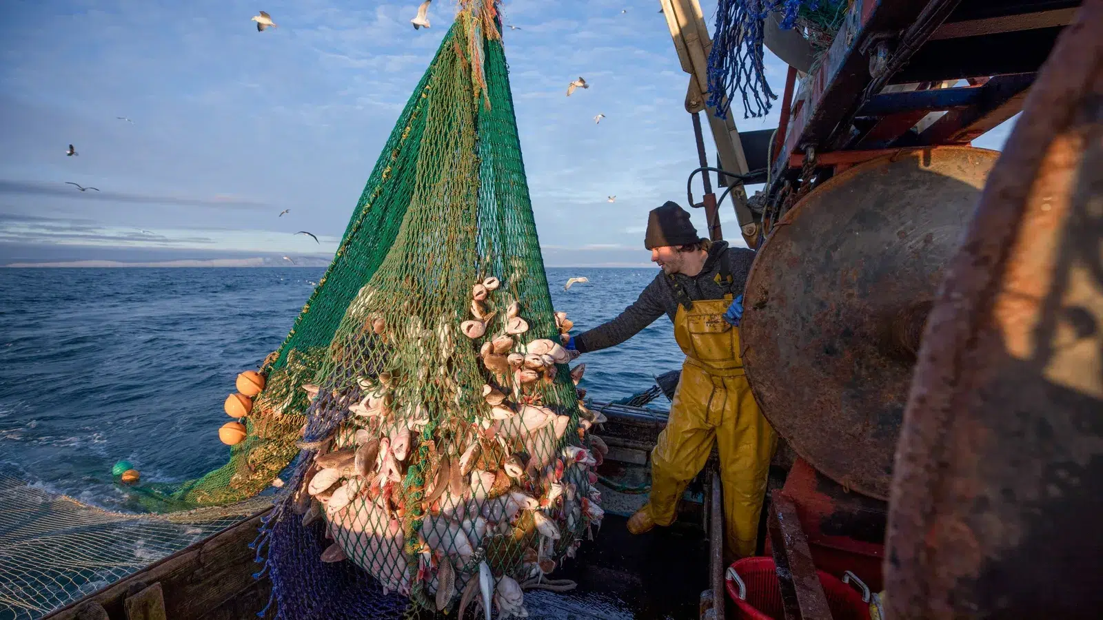 تجديد بروتوكول الصيد البحري.. اجتماع بين المهنيين المغاربة والأوروبيين قبل نهاية العام