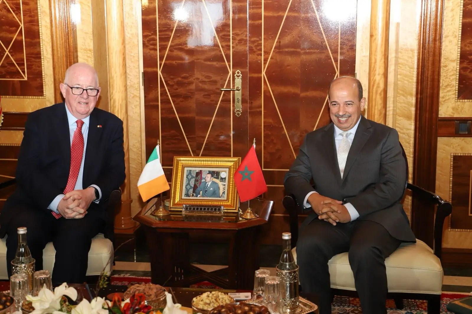 ميارة يشيد بموقف إيرلندا تجاه قضية الصحراء المغربية