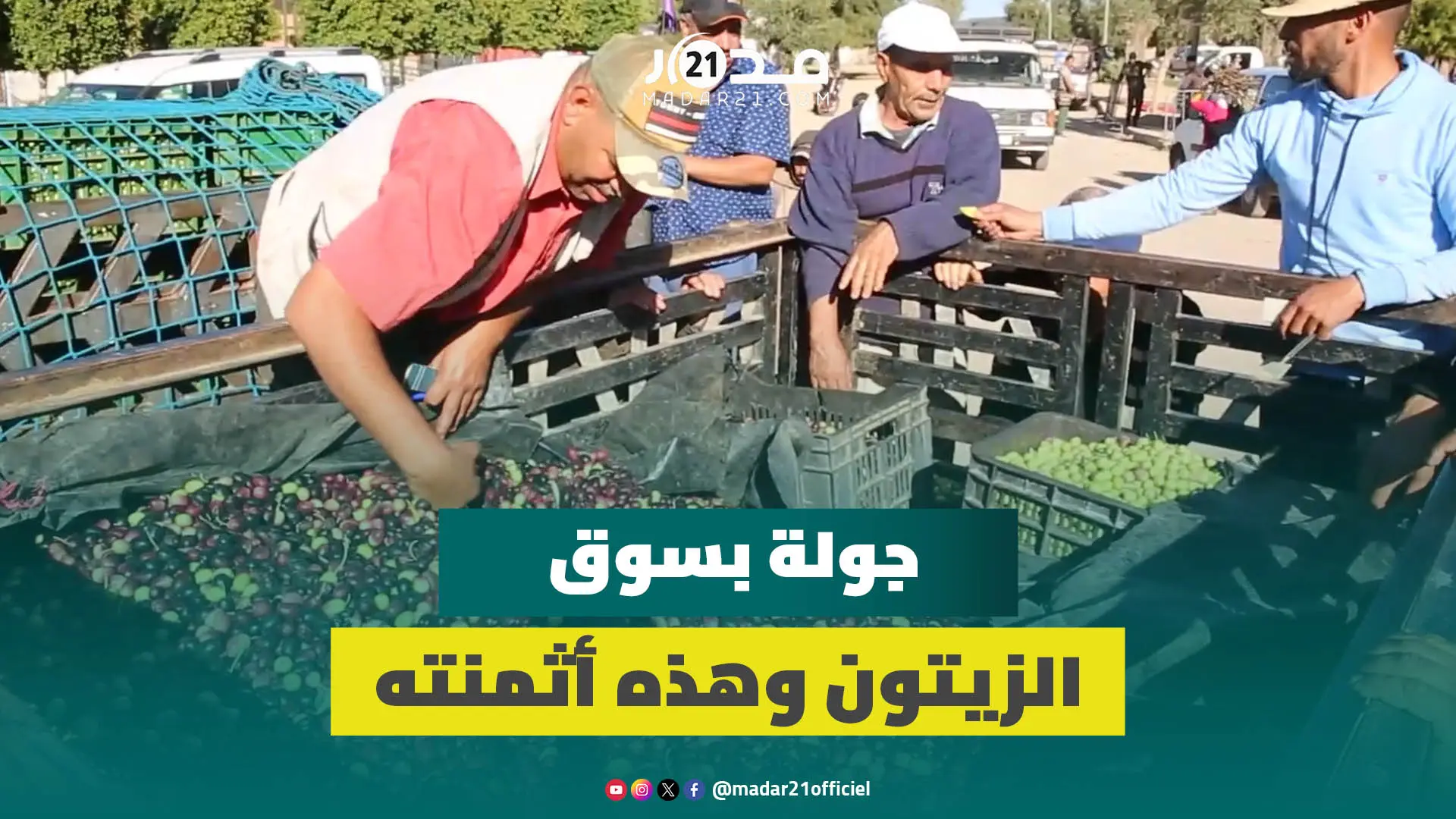 يصل 18 درهما للكيلوغرام و90 درهما للتر.. مهنيون يكشفون أسعار الزيتون وعائد القنطار منه بجهة بني ملال