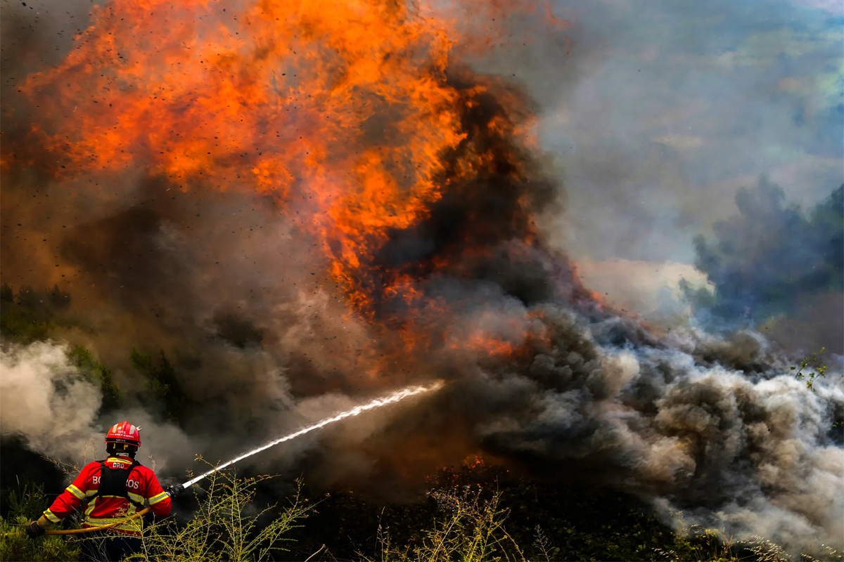الاتحاد الأوروبي.. 2022 ثاني أسوأ عام لحرائق الغابات