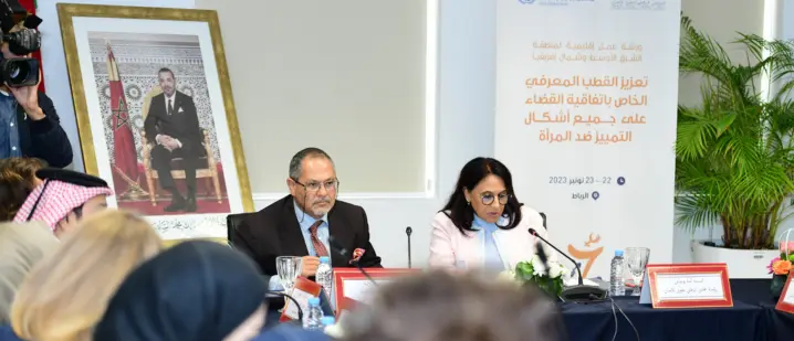 بوعياش: محاربة التمييز ضد المرأة يستدعي تحليل التقاليد والممارسات الضاغطة لإعمال المساواة