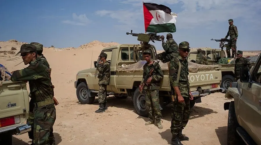خبير: تهرب البوليساريو يؤكد إفلاس خياراتها وتخوفها من الرد القوي للمغرب بعد خطأ السمارة