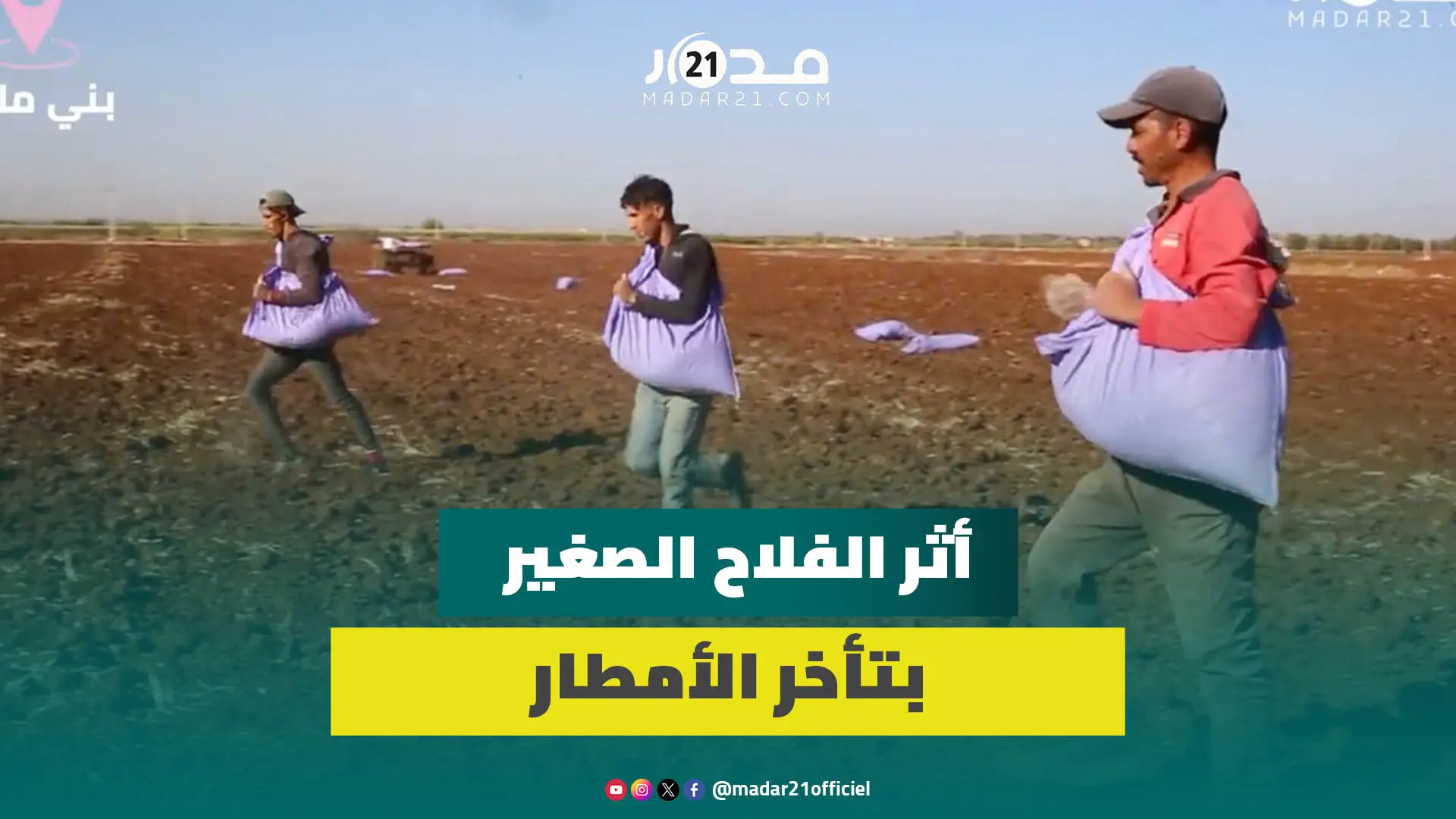 فلاحو بني ملال يشرعون في الحرث ويعلقون آمالهم على تساقط الأمطار ويجردون معاناة الفلاح مع غياب الدعم