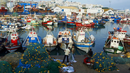 ميناء طنجة.. ارتفاع 98% في مفرغات الصيد البحري