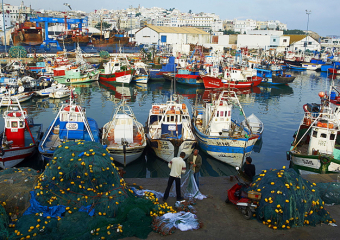 ميناء طنجة.. ارتفاع 98% في مفرغات الصيد البحري