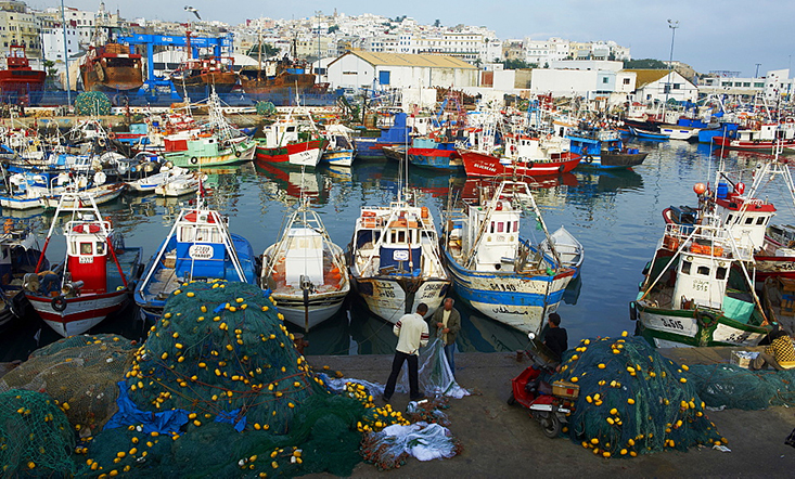انخفاض مفرغات الصيد البحري بميناء طنجة