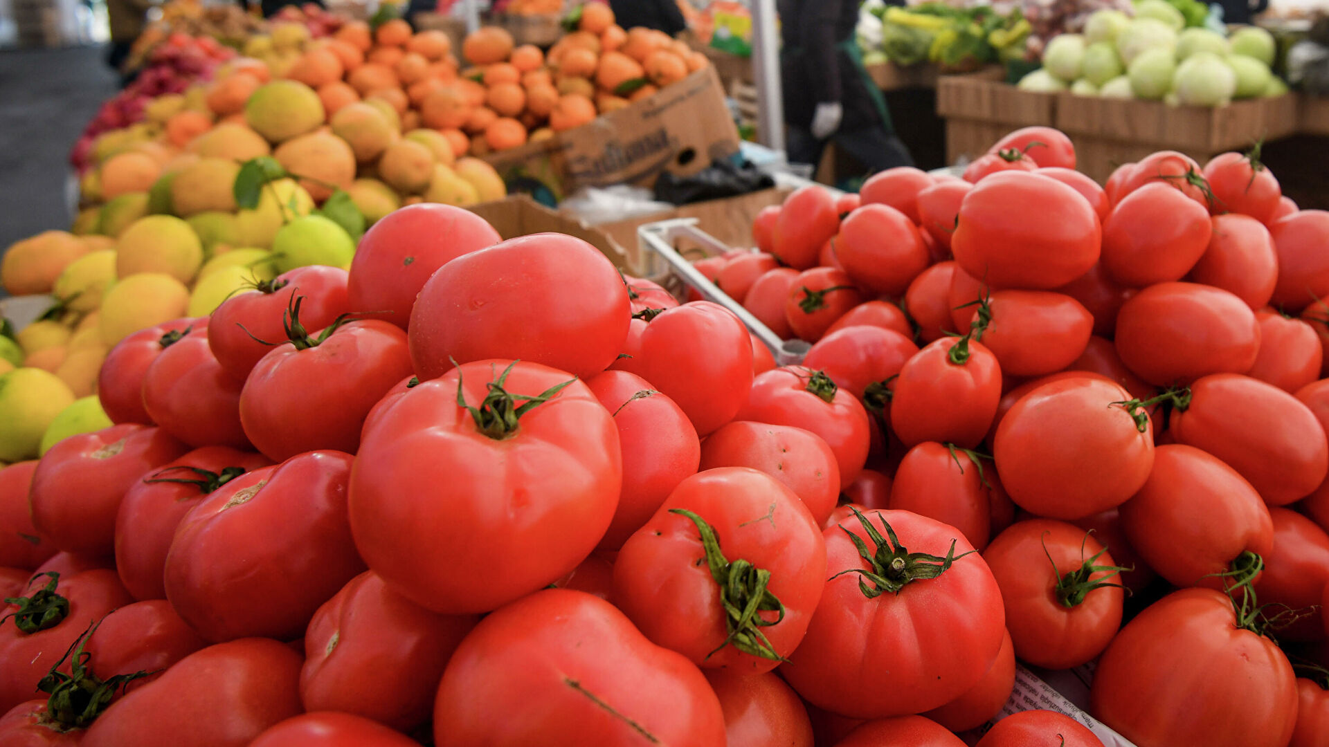 استمرار غلاء الطماطم يثير غضب مهنيين وتوقعات باستمرار الارتفاع برمضان