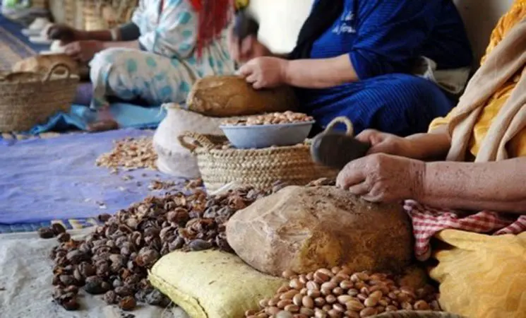 مبادرة للتنمية البشرية تعزز قدرات 40 تعاونية بالصويرة