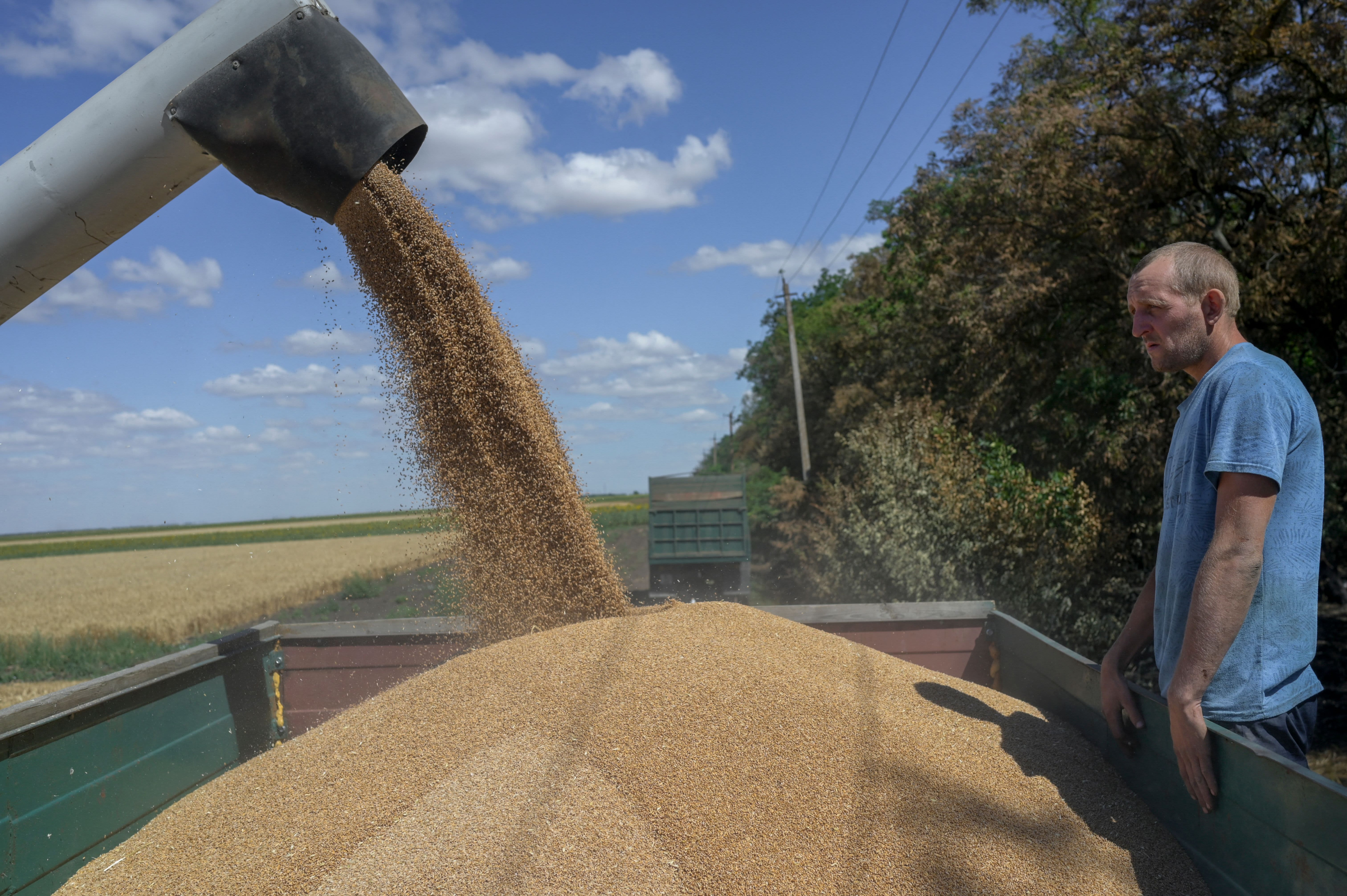 واردات القمح الروسي للمغرب تتجاوز 3 ملايين طن والأرجنتين تدخل المنافسة