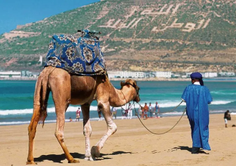 المغرب ضمن أفضل الوجهات السياحية بـ2024