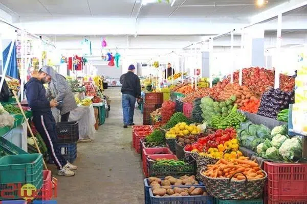 برلماني من البام يدعو الحكومة لضبط نشاط الوسطاء