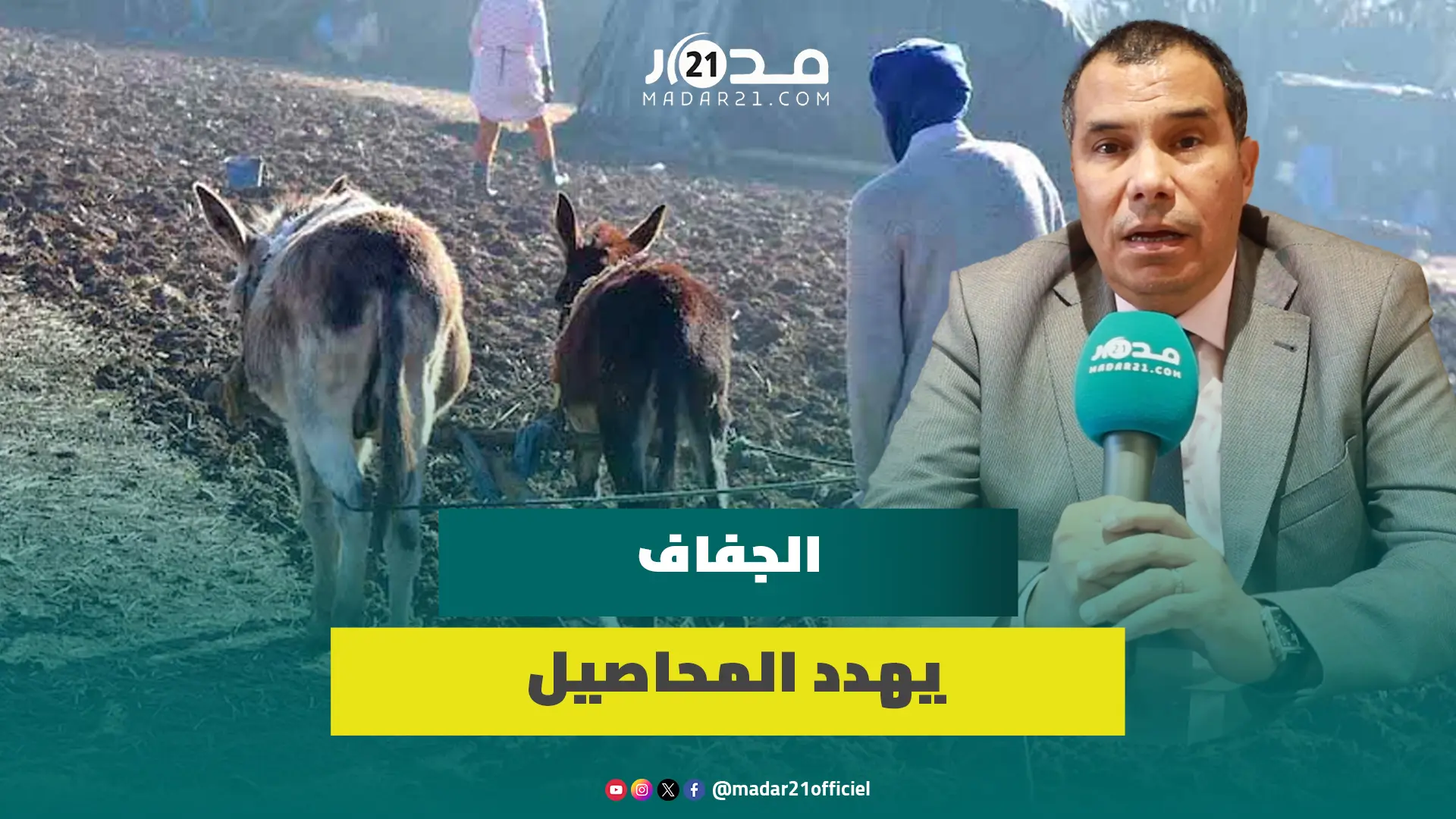 يهدد بتراجع المحاصيل.. برلماني يحصي تحديات مواجهة الجفاف ويستعجل خطة حكومية لإنقاذ الموسم الفلاحي