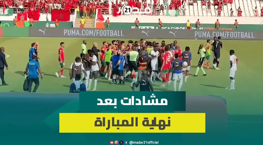 بسبب هـجوم قائد الكونغو الديمقراطية على الركراكي.. مشادات بين الأسود والفهود