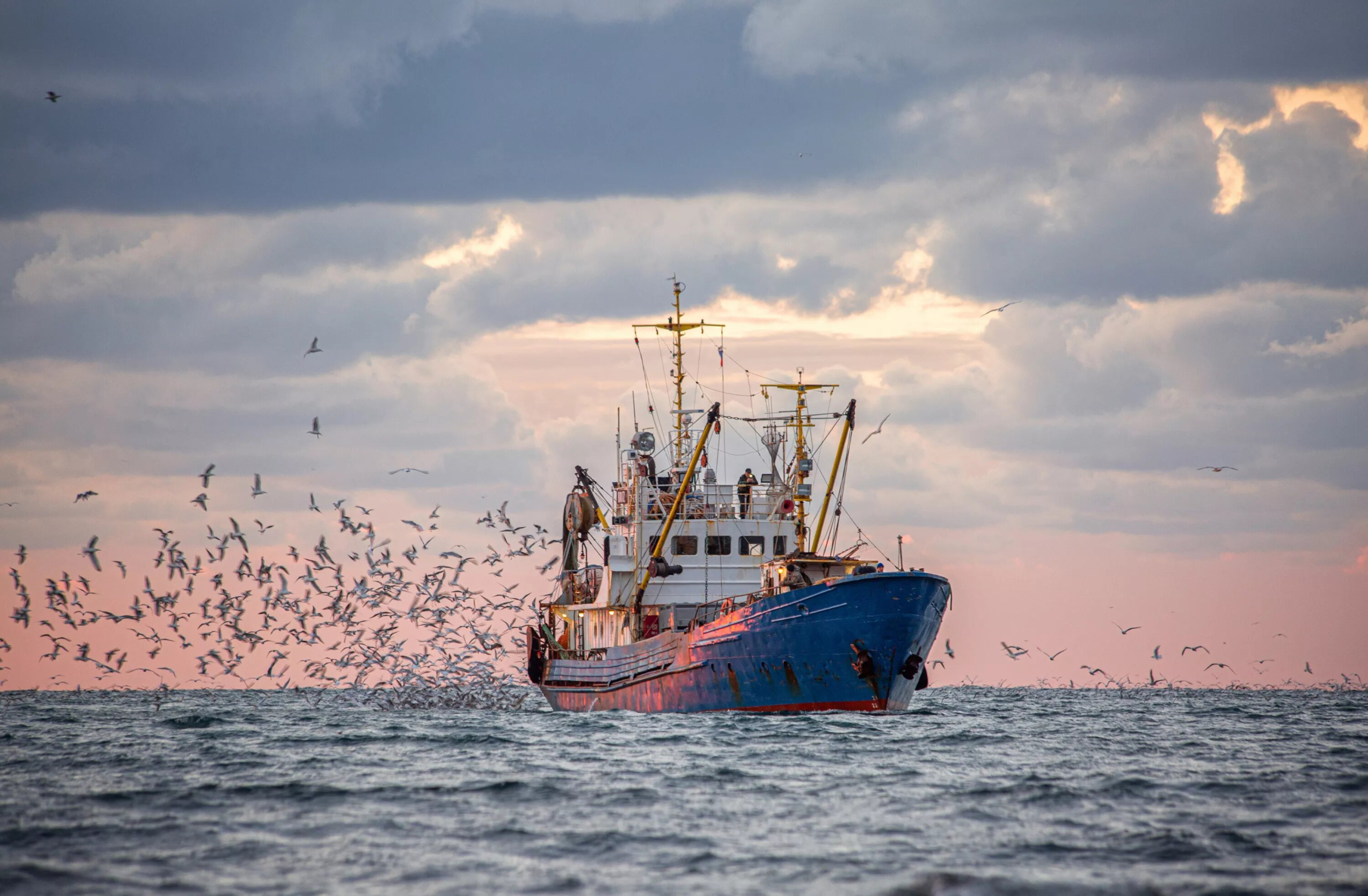 اجتماع لجنة بالبرلمان الأوروبي يعيد تجديد بروتوكول الصيد مع المغرب للواجهة