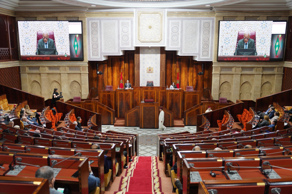 بروحو: طلب المعارضة مناقشة الحصيلة الحكومية بلجن مجلس النواب غير دستوري