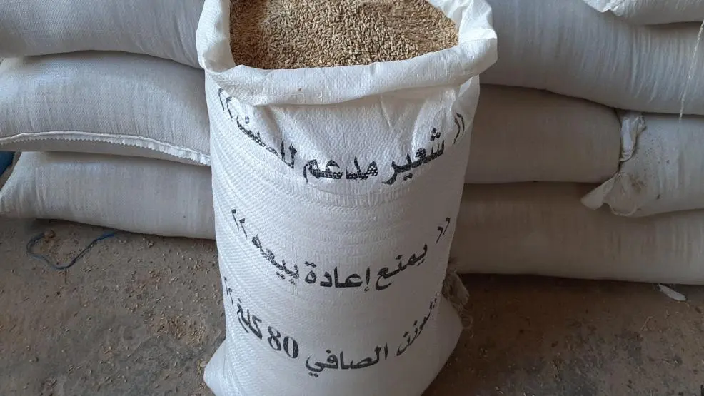 توزيع 719 ألف قنطار من الشعير المدعم بجهة بني ملال