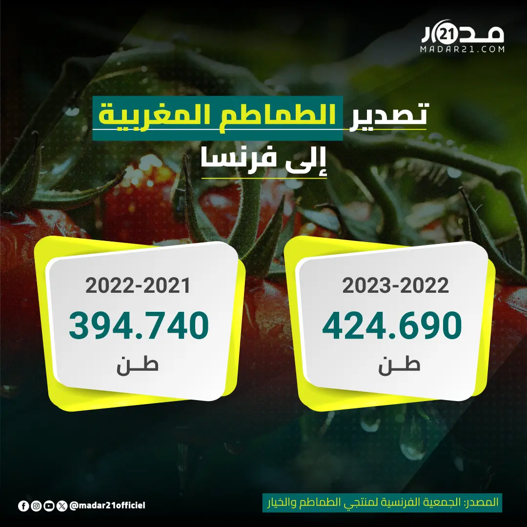 تصدير الطماطم المغربية إلى فرنسا