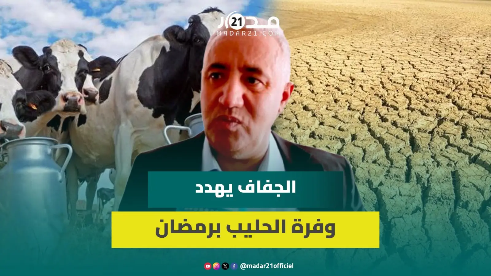 بسبب الجفاف.. بني ملال مهددة بنقص إنتاج الحليب وتدهور زراعات مهمة ورئيس غرفة الفلاحة يطمئن الساكنة