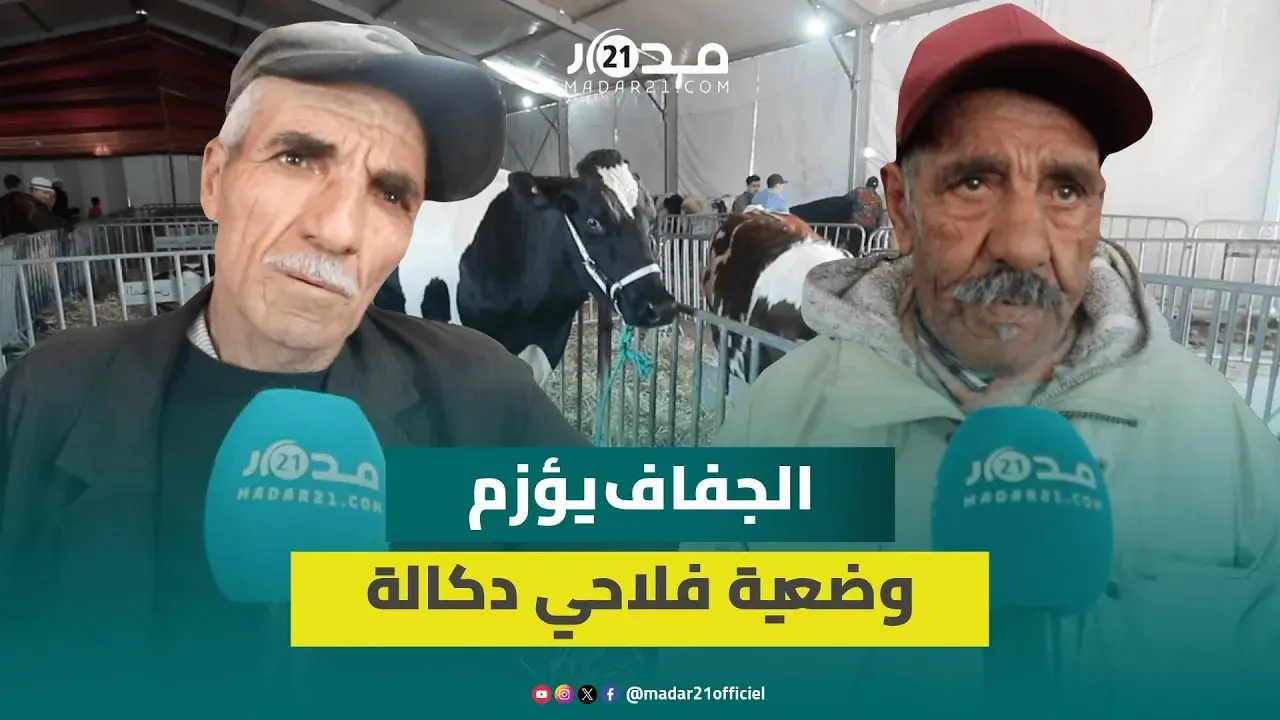 “البهائم تضيع”..الجفاف يشدد الخناق على فلاحي دكالة ومربو الماشية يشكوون الغلاء