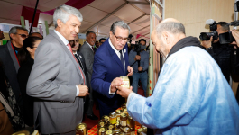 المغرب ينتج 146 ألف طن منه سنويا.. أخنوش يترأس افتتاح مهرجان اللوز