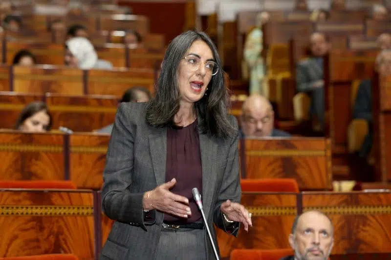 فتاح: سنعمم الاستفادة من التقاعد خلال 2025 وملتزمون بإصلاحه قبل نهاية الولاية