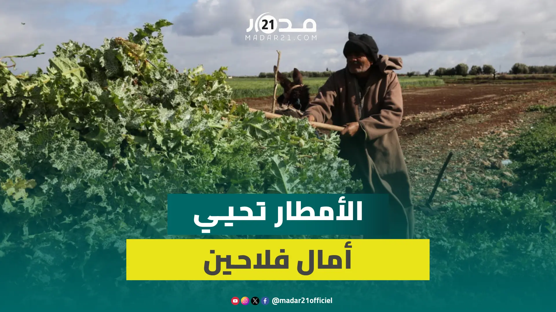 رحمة الله فرحت القلوب.. الأمطار تحيي أمال فلاحين وتبشر بإنقاذ الموسم من الجفاف