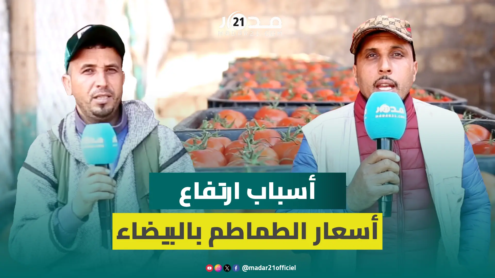 المستهلك السبب!.. تجار سوق الجملة يكشفون أسباب ارتفاع أسعار الطماطم والفلفل في رمضان