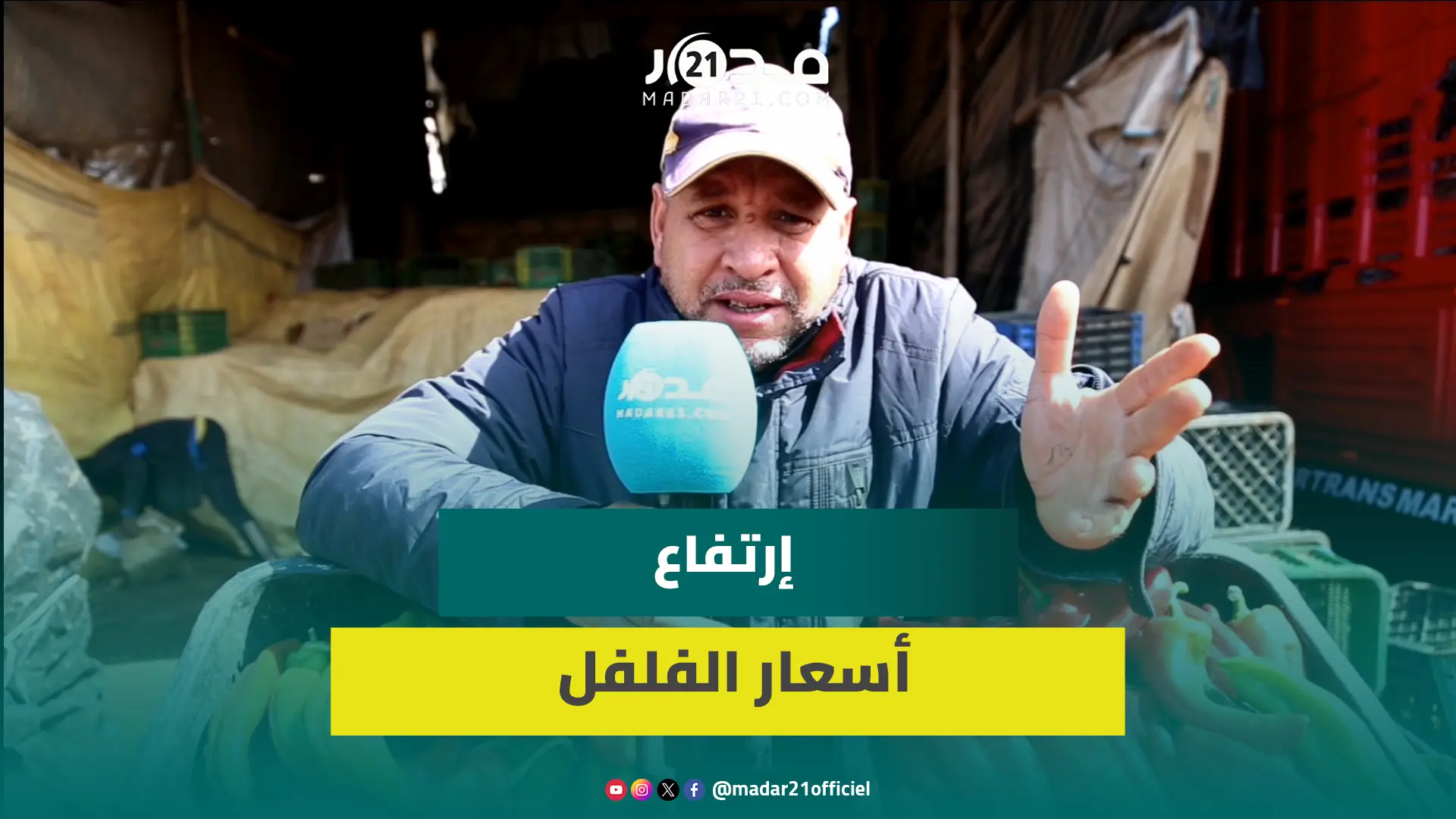 “ميسي الخضر”..التصدير وضعف الانتاج يلهبان أسعار الفلفل مع أول أيام رمضان بأسواق البيضاء