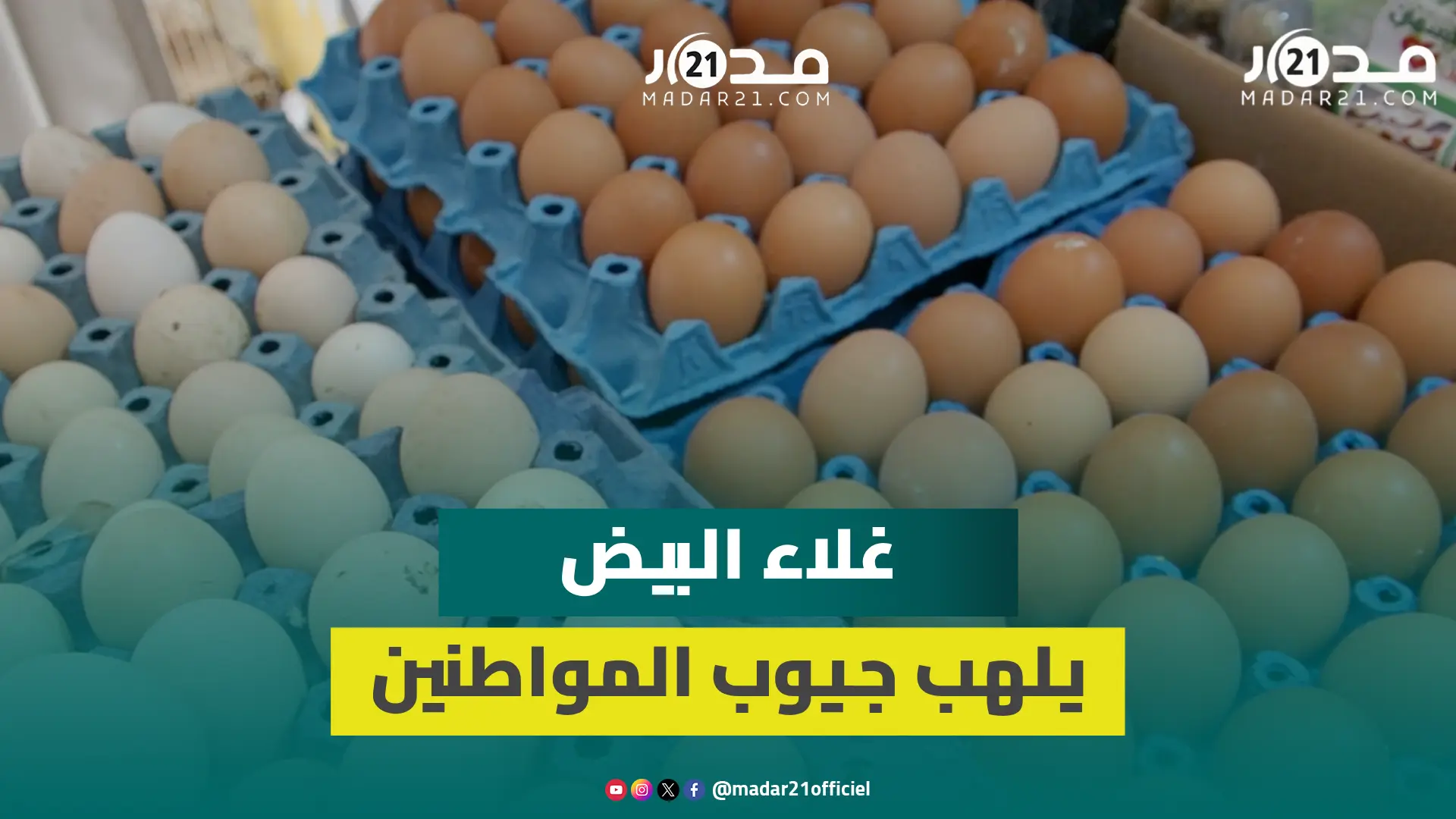 غلاء أسعار البيض.. مهنيون: كولشي غلا والمواطن جيابو تشرݣو بالغلاء وكاين تراجع في الإقبال على الشراء