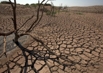 الجفاف يعلن “حالة الكارثة” بمالاوي