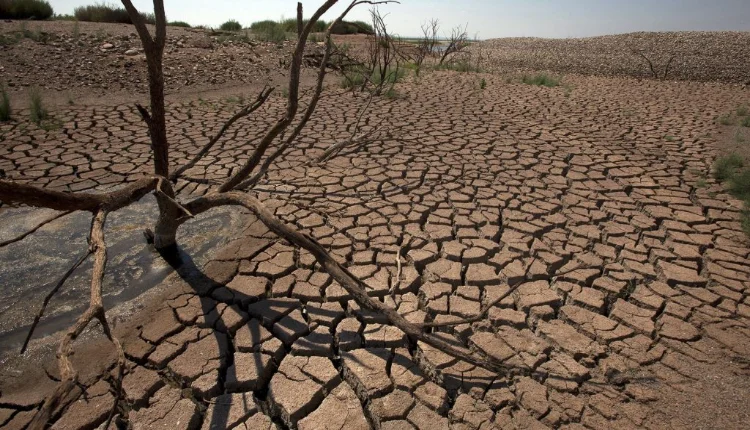 الجفاف يعلن “حالة الكارثة” بمالاوي