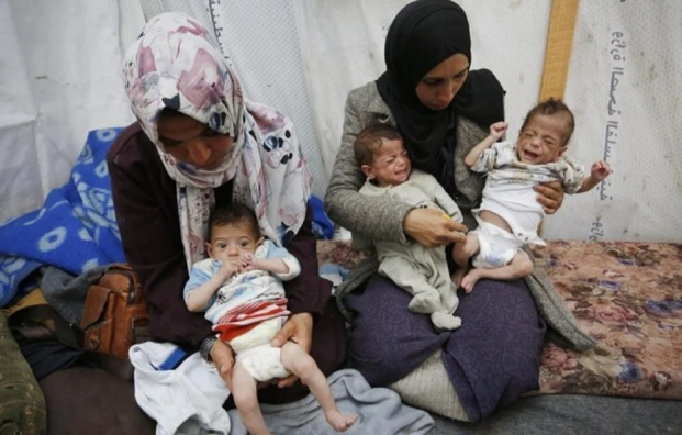 النزوح والجوع.. مأساة أم و3 توائم في خيمة جنوب غزة