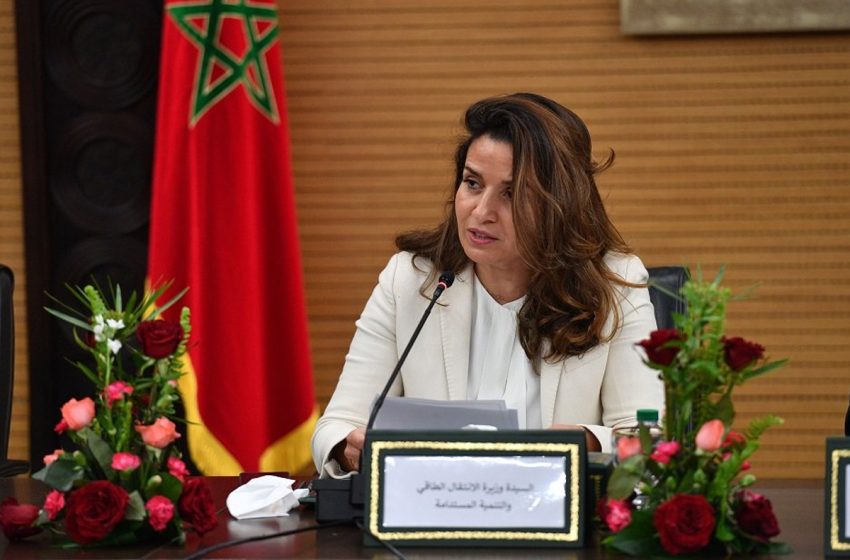 بنعلي: تفعيل الروافع المالية شرط لبلوغ الحياد الكربوني