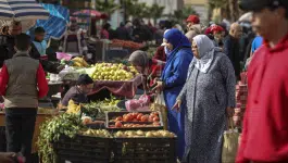 الموسم المطير وارتفاع درجات الحرارة يعيدان “قفّة المغاربة” إلى المتناول