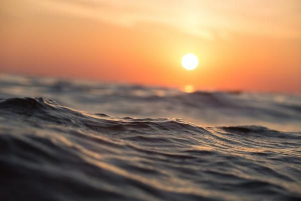 علماء يحذرون من آثار ارتفاع درجة حرارة المحيطات