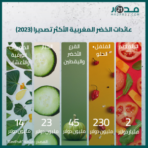 عائدات الخضر المغربية الأكثر تصديرا سنة 2023