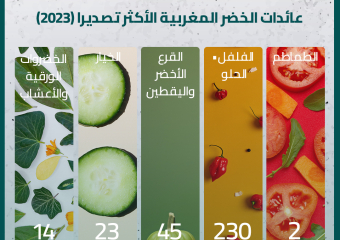 عائدات الخضر المغربية الأكثر تصديرا سنة 2023