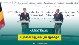 بلجيكا تعتبر مبادرة الحكم الذاتي أساسا جديا لحل مقبول لملف الصحراء المغربية