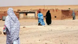 جنيف.. منظمات تحمل الجزائر مسؤولية لاجئي تندوف