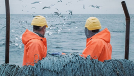 صديقي عن تجديد بروتوكول الصيد البحري: مرتبط بموقف بروكسيل ومستعدون للتفاوض مع أطراف جدد