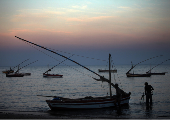 لقاء مغربي إسباني بطنجة يتدارس استدامة مصايد الأسماك